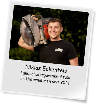Niklas Eckenfels Landschaftsgrtner-Azubi im Unternehmen seit 2021